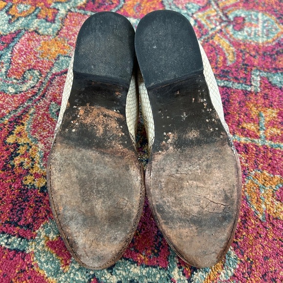 Freebird by Steven | Women’s cream faux snakeskin Lasso Ankle bootie slight heel - Picture 2 of 12